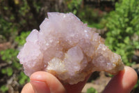 Natural Mixed Spirit Quartz Clusters x 35 From Boekenhouthoek, South Africa - Toprock Gemstones and Minerals 