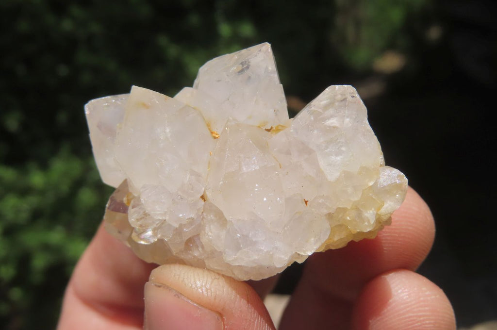 Natural Mixed Spirit Quartz Clusters x 35 From Boekenhouthoek, South Africa - Toprock Gemstones and Minerals 