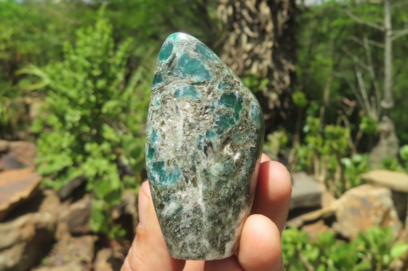 Polished Rare Emerald Mica In Matrix Standing Free Forms x 6 From Mutoko, Zimbabwe - Toprock Gemstones and Minerals 