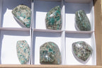 Polished Rare Emerald Mica In Matrix Standing Free Forms x 6 From Mutoko, Zimbabwe - Toprock Gemstones and Minerals 