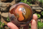Polished Polychrome Jasper Spheres x 4 From Madagascar - Toprock Gemstones and Minerals 