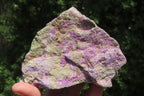 Natural Stichtite Specimens x 2 From Barberton, South Africa - Toprock Gemstones and Minerals 