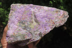 Natural Stichtite Specimens x 2 From Barberton, South Africa - Toprock Gemstones and Minerals 