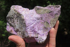 Natural Stichtite Specimens x 2 From Barberton, South Africa - Toprock Gemstones and Minerals 