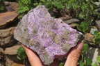 Natural Stichtite Specimens x 2 From Barberton, South Africa - Toprock Gemstones and Minerals 