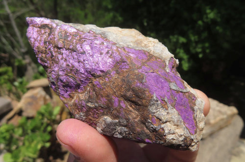 Natural Metallic Purpurite Cobbed Specimens x 6 From Erongo, Namibia - Toprock Gemstones and Minerals 