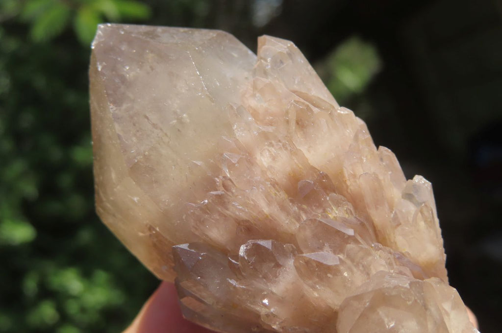 Natural Cascading Smokey Quartz Clusters x 6 From Luena, Congo - Toprock Gemstones and Minerals 