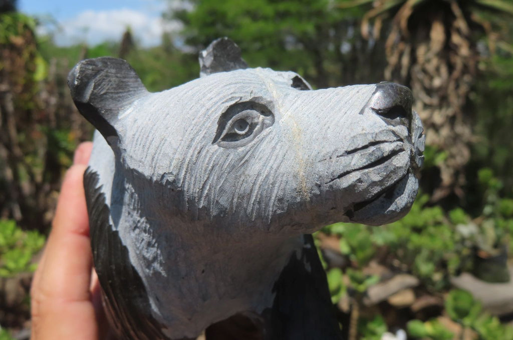 Hand Made Wonder Stone Panda Carving x 1 From Zimbabwe - Toprock Gemstones and Minerals 