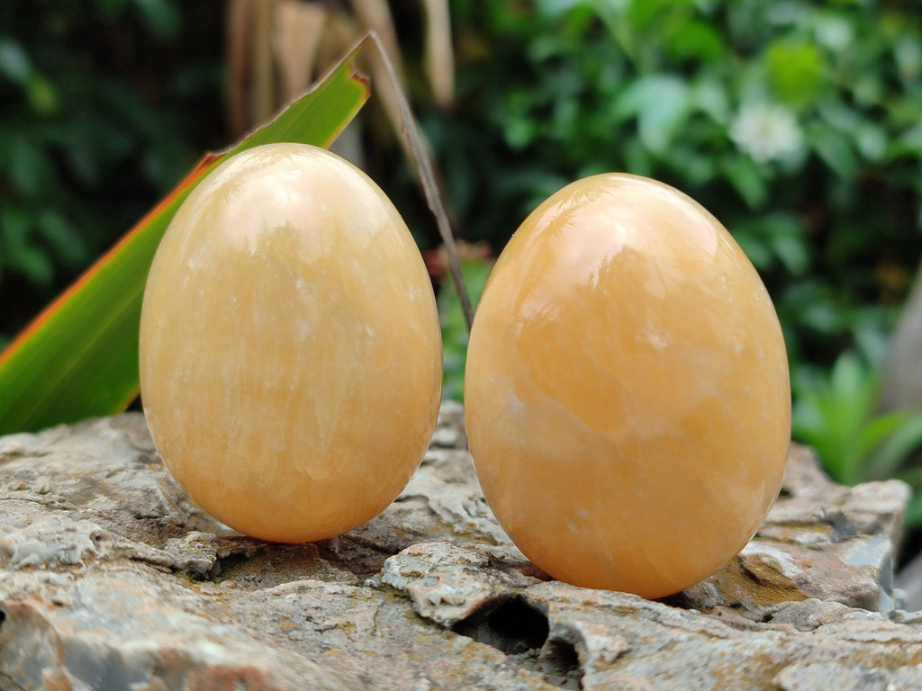 Polished Honey Aragonite Gemstone Eggs - Sold Per Item - From Namibia - Toprock Gemstones and Minerals 