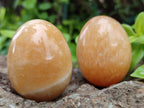 Polished Honey Aragonite Gemstone Eggs - Sold Per Item - From Namibia - Toprock Gemstones and Minerals 