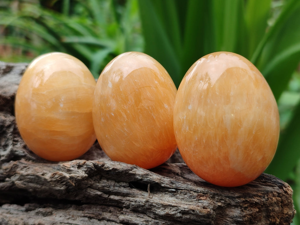 Polished Honey Aragonite Gemstone Eggs - Sold Per Item - From Namibia - Toprock Gemstones and Minerals 