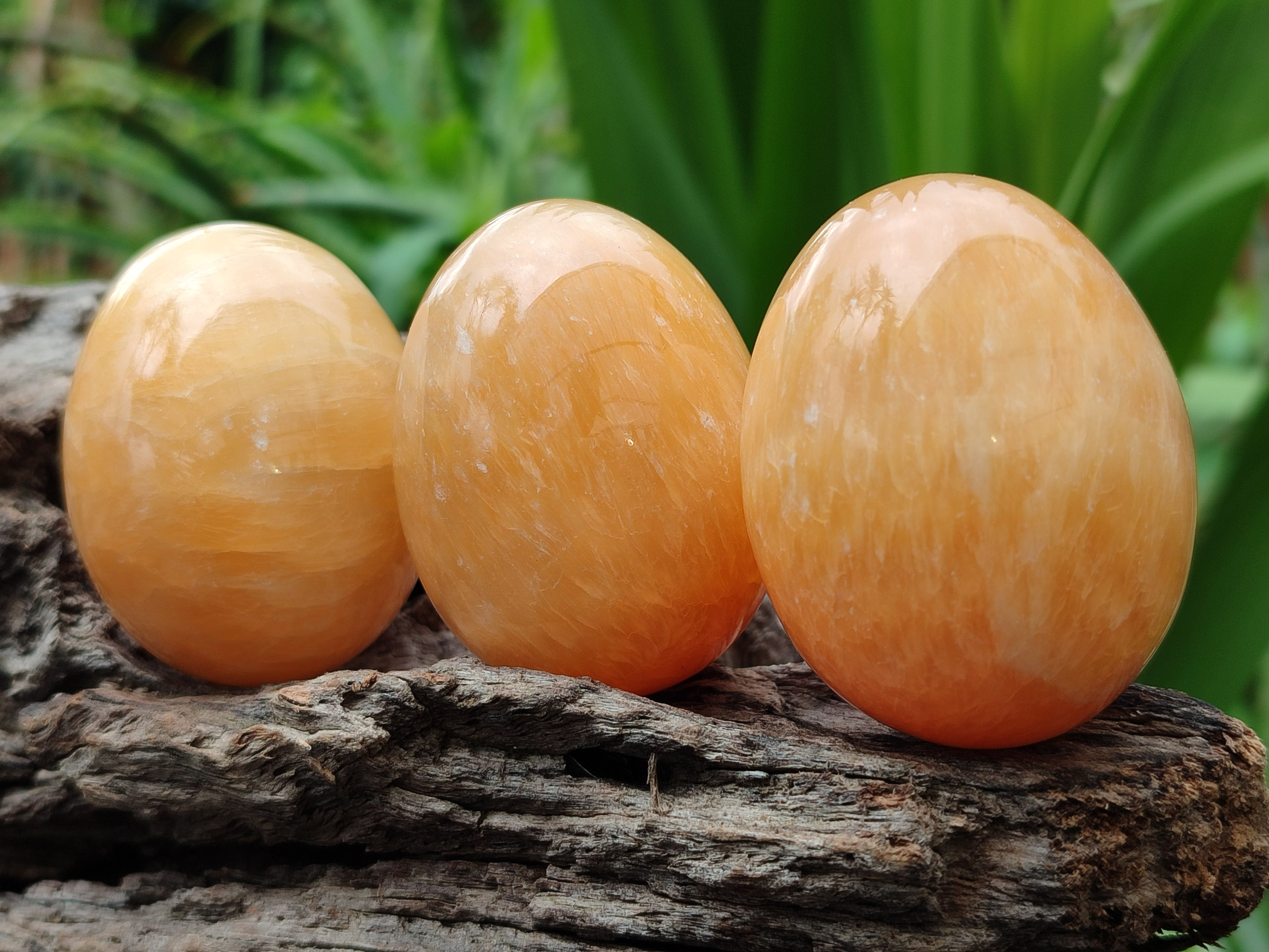 Polished Honey Aragonite Gemstone Eggs - Sold Per Item - From Namibia - Toprock Gemstones and Minerals 