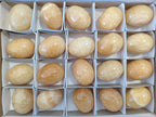Polished Honey Aragonite Gemstone Eggs - Sold Per Item - From Namibia - Toprock Gemstones and Minerals 
