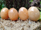 Polished Honey Aragonite Gemstone Eggs - Sold Per Item - From Namibia - Toprock Gemstones and Minerals 