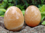 Polished Honey Aragonite Gemstone Eggs - Sold Per Item - From Namibia - Toprock Gemstones and Minerals 