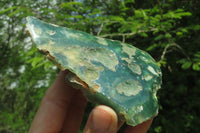 Polished On One Side Emerald Mtorolite Plates x 6 From Mutorashanga, Zimbabwe - Toprock Gemstones and Minerals 