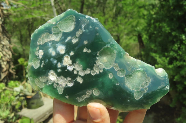 Polished On One Side Emerald Mtorolite Plates x 6 From Mutorashanga, Zimbabwe - Toprock Gemstones and Minerals 