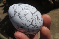 Polished Howlite Gemstone Eggs x 7 From Zimbabwe - Toprock Gemstones and Minerals 