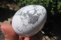 Polished Howlite Gemstone Eggs x 7 From Zimbabwe - Toprock Gemstones and Minerals 