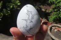 Polished Howlite Gemstone Eggs x 7 From Zimbabwe - Toprock Gemstones and Minerals 