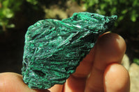 Natural Silky Malachite Specimens x 12 From Kasompe, Congo - Toprock Gemstones and Minerals 
