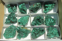 Natural Silky Malachite Specimens x 12 From Kasompe, Congo - Toprock Gemstones and Minerals 