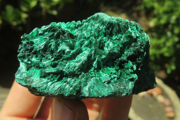Natural Silky Malachite Specimens x 12 From Kasompe, Congo - Toprock Gemstones and Minerals 