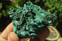 Natural Silky Malachite Specimens x 12 From Kasompe, Congo - Toprock Gemstones and Minerals 