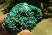 Natural Silky Malachite Specimens x 12 From Kasompe, Congo - Toprock Gemstones and Minerals 