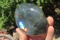 Polished Labradorite Standing Free Forms x 3 From Tulear, Madagascar