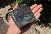 Polished Labradorite Standing Free Forms x 3 From Tulear, Madagascar