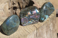 Polished Labradorite Standing Free Forms x 3 From Tulear, Madagascar