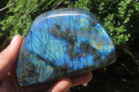 Polished Labradorite Standing Free Forms x 3 From Tulear, Madagascar