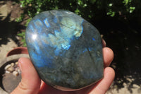 Polished Labradorite Standing Free Forms x 3 From Tulear, Madagascar