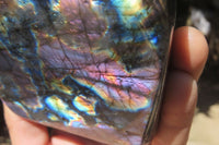 Polished Labradorite Standing Free Forms x 3 From Tulear, Madagascar