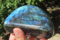 Polished Labradorite Standing Free Forms x 3 From Tulear, Madagascar