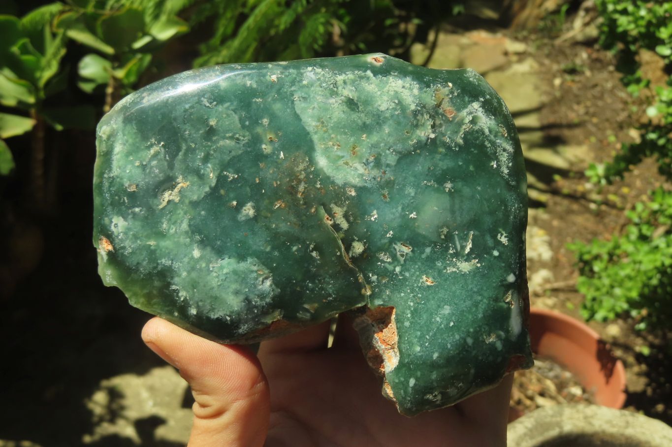 Polished On One Side Emerald Mtorolite Plates x 3 From Mutorashanga, Zimbabwe - Toprock Gemstones and Minerals 