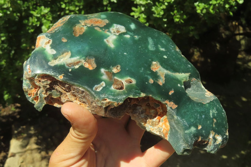 Polished On One Side Emerald Mtorolite Plates x 3 From Mutorashanga, Zimbabwe - Toprock Gemstones and Minerals 