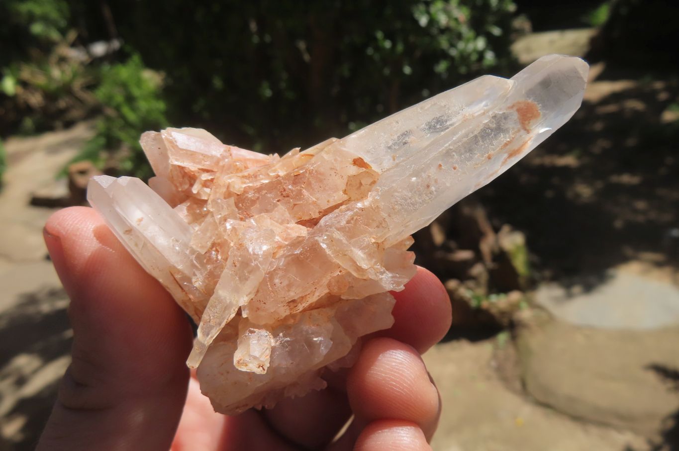 Natural Clear Quartz Clusters x 35 From Madagascar - Toprock Gemstones and Minerals 
