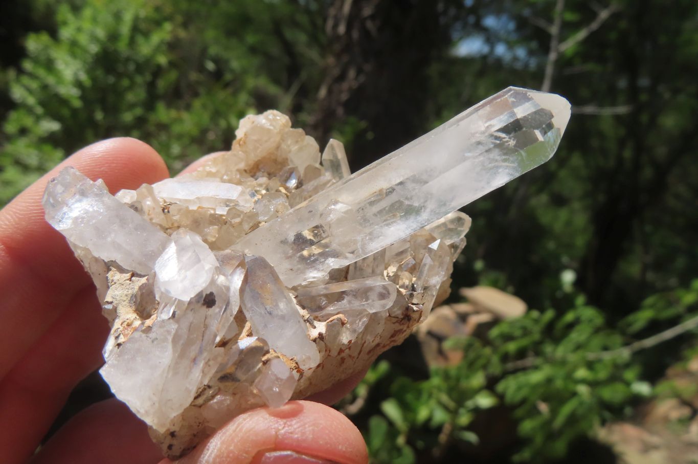 Natural Clear Quartz Clusters x 35 From Madagascar - Toprock Gemstones and Minerals 