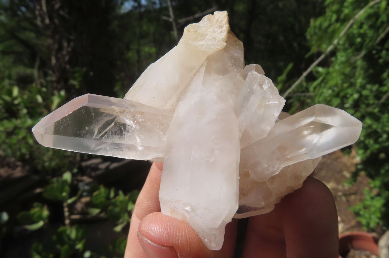 Natural Clear Quartz Clusters x 35 From Madagascar - Toprock Gemstones and Minerals 