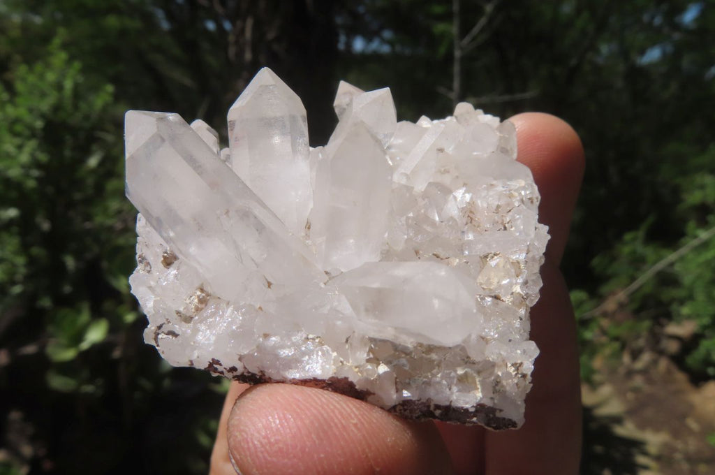 Natural Clear Quartz Clusters x 35 From Madagascar - Toprock Gemstones and Minerals 
