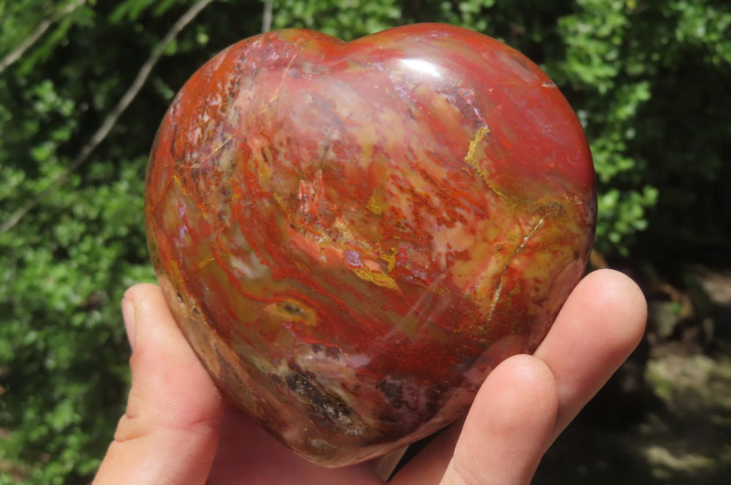 Polished Red Podocarpus Petrified Wood Hearts x 2 From Madagascar - Toprock Gemstones and Minerals 