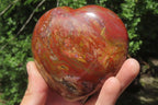 Polished Red Podocarpus Petrified Wood Hearts x 2 From Madagascar - Toprock Gemstones and Minerals 