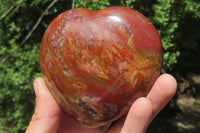 Polished Red Podocarpus Petrified Wood Hearts x 2 From Madagascar - Toprock Gemstones and Minerals 