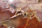 Polished Red Podocarpus Petrified Wood Hearts x 2 From Madagascar - Toprock Gemstones and Minerals 