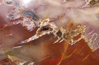 Polished Red Podocarpus Petrified Wood Hearts x 2 From Madagascar - Toprock Gemstones and Minerals 
