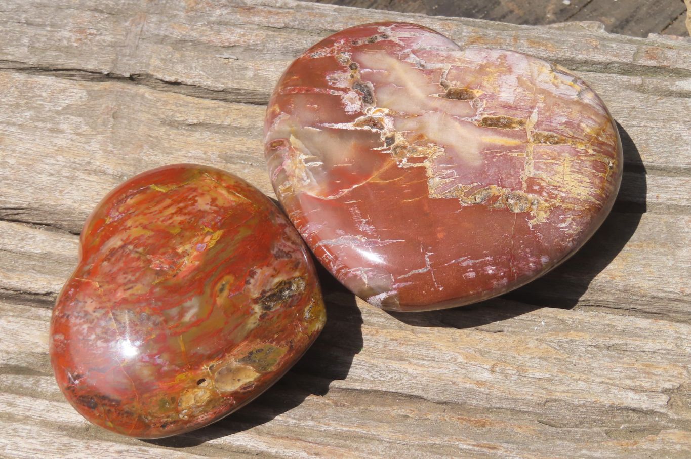 Polished Red Podocarpus Petrified Wood Hearts x 2 From Madagascar - Toprock Gemstones and Minerals 