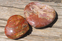Polished Red Podocarpus Petrified Wood Hearts x 2 From Madagascar - Toprock Gemstones and Minerals 