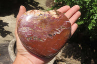 Polished Red Podocarpus Petrified Wood Hearts x 2 From Madagascar - Toprock Gemstones and Minerals 